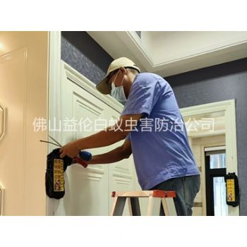 三洲住宅白蚁防治工程