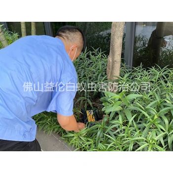 富湾园林灭治白蚁工程